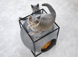Modern cat furniture designs that are perfect for your home interior design style and your cats can be expensive, but they will save hundreds of dollars on your new furniture. Cat Cocoons Modern Feline Furniture Designs Ideas On Dornob