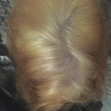 haare blondiert ansatz zu hell farben blond