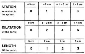 Image result for Bishop Score