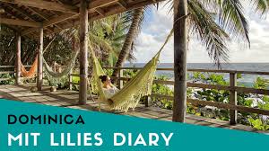 Besuchen sie die strände am golf von mexiko, die everglades safari park, kennedy space center, daytona, disney world und vieles mehr auf dieser rv urlaub abenteuer! 11 Tipps Was Man In Dominica Erleben Kann Lilies Diary Der Alltagliche Wahnsinn