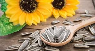 Ia berasal dari kawasan barat amerika syarikat dan telah berkembang biak keseluruh dunia.terdapat beberapa. Tak Banyak Yang Tahu Ini Manfaat Luar Biasa Makan Kuaci