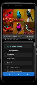 Dahsyat suara kicau burung prenjak bikin gacor campursari suara prenjak abang jantan gacor dor pikat pancingan burung perenjak ciblek agar cepat bunyi lot full audio. Suara Pikat Semua Jenis Burung Ampuh Dlya Android Skachat Apk