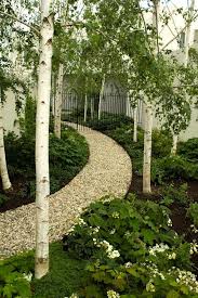 Julian Ronchi Landscape Design Birch Trees Garden Backyard Landscaping Designs