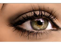 Vous pouvez trouver des maquillages pour yeux comme des fards à paupières, mascaras, eyeliners, etc. Maquillage Simple Yeux Verts Maquillage Yeux Verts Soiree Yeux Verts Maquillage Naturel Yeux Vert