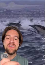 Omar Odavo Attract Sea Life