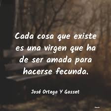 ¡frases de agradecimiento y gratitud! Frases De Agradecimiento A La Virgen Literato