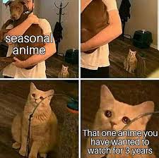 I M Sorry Sobs In Weeb Anime Meme Funny Relatable Memes Stupid Funny Memes Funny Memes