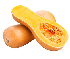 Image result for Cucurbitaceae