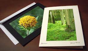 How To Sell Your Nature Photography Studio Style Photo Insert Cards Photography Jobs Card Photography