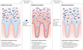 Image result for Clostridioides difficile