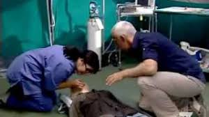 Cerchiamo di descrivere i vari passaggi uno alla volta e con ordine a questo punto, constatata l'assenza cardiaca e respiratoria, iniziamo il massaggio cardiaco vero e proprio. Massaggio Cardiaco Come Si Effettua Centro Diagnostico Nardi