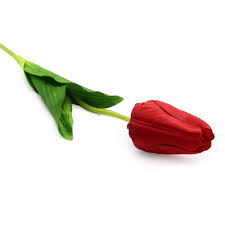 Check spelling or type a new query. Artificial Flowers Astra Craft Hy125 74002 Red Buy In New York City At A Bargain Price On Global Flowers