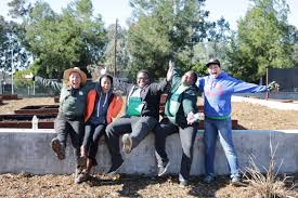 Now the 5 important steps to reuse old potting soil and revitalize it and how to make potting soil or the best potting mix: Social Justice Learning Institute