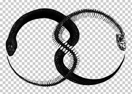 Christmas, halloween, seasons, carnival … very popular themes and periods of the year appreciated by children, which give the opportunity to color beautiful drawings. Ouroboros Snake Tattoo Symbol Alchemy Png Clipart Alchemy Animals Art Auto Part Black And White Free