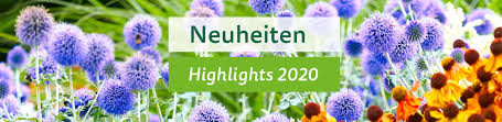 Aktuelle gärtner pötschke gutscheine im november 2020 täglich neu redaktionell geprüft jetzt. Neuheiten 2020 Gartner Potschke