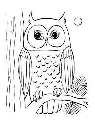 Children love to know how and why things wor. Owl Coloring Page Owl Coloring Pages Bird Coloring Pages Animal Coloring Pages