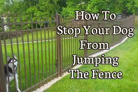 You will want to change down it and put it to use near the peak of the fence. Pin Auf Others