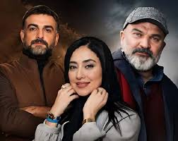سریال نیمرخ