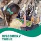 Discovery Table