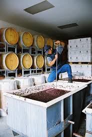 New Zealand Vineyard Winery Home And Olive Grove For Sale Marlborough South Island New Zealand Wine Rea New Zealand Wine Real Estate Marlborough Wine
