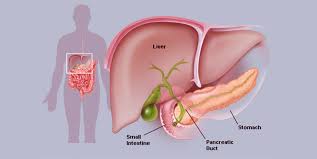 Pancreatic Disease Specialist In Delhi Samadhan Clinic