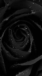 See more ideas about bts, bts laptop wallpaper, bts bangtan boy. Black Rose Wallpaper For Mobile