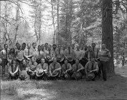 NPGallery Asset Detail