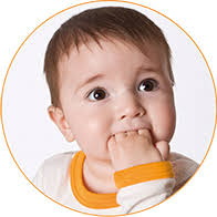 Absperrgitter günstig im Online-Shop kaufen