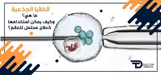 إن العلاج بالخلايا الجذعية يستخدم على نطاق واسع شفاء الامراض وفي حالات الدم والجهاز المناعي. Ø§Ù„Ø®Ù„Ø§ÙŠØ§ Ø§Ù„Ø¬Ø°Ø¹ÙŠØ© ÙƒÙŠÙ ÙŠÙ…ÙƒÙ† Ø§Ø³ØªØ®Ø¯Ø§Ù…Ù‡Ø§ ÙƒØ¹Ù„Ø§Ø¬ Ù„Ù„Ø¹Ù‚Ù… Ø¯ÙƒØªÙˆØ± ØªÙˆØ§ØµÙ„