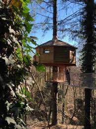 Cabanes Als Arbres En Sant Hilari Sacalm Espana Opiniones Precios Planet Of Hotels