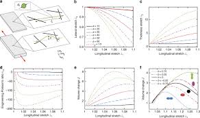 Pacific wushu, beijing wushu(武術) performance at stanford. Random Auxetics From Buckling Fibre Networks Nature Communications