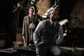 Lunedì 20 aprile, in prima serata su canale 5. Animali Fantastici E Dove Trovarli Il Futuro Della Saga Tra Sequel Errori E Colpi Di Scena Movieplayer It