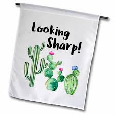 3drose Funny Ironic Looking Sharp Watercolor Cactus Quote Polyester 1 6 X 1 Garden Flag Cactus Quotes Gardening Quotes Funny Watercolor Cactus