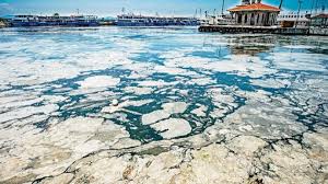 Jun 04, 2021 · турция обнаружила новые месторождения природного газа в черном море и вскоре может объявить об этом. Mramornoe More Pokrylos Slizyu Vdol Poberezhya Turcii Ukrainskaya Pravda