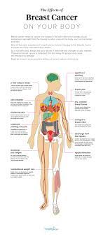 While age,diet, physical activity, and lifestyle play an important role in development of breast in the years that i've been working on this website project i've come across some amazing resources by some very special people. 12 Effects Of Breast Cancer On The Body