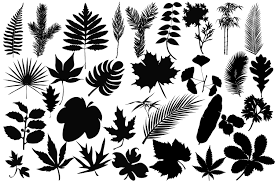 Download Leaves Silhouettes Graphic By Twelvepapers Creative Fabrica SVG Cut Files
