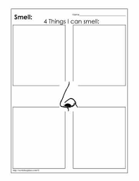 My Smell Senseworksheets Five Senses Worksheet Senses Preschool Sense Of Touch