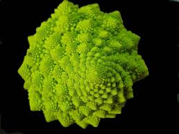 Roman Broccoli Crop Circles Sacred Geometry Romanesco Broccoli Romanesco