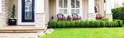 Startup 425 is an initiative of five communities on seattle's eastside (bellevue, kirkland, issaquah, redmond, and renton), in partnership with the port of seattle. Lawn Care Maintenance In Kirkland Wa 253 377 6148
