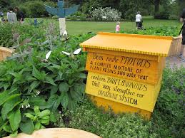 Propolis is a natural gummy resin found on the walls of beehives. 5 Bee Propolis Benefits Dosage Side Effects Selfhacked