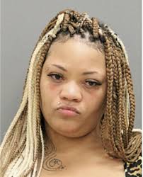 ᐅ Illinois Criminal Records 2009-2025