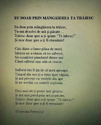 Pin By Veronica Felea On Poezii You Poem Poems Love Quotes