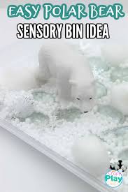 Pin On Art Education Polar Bear Solstice Solar Power