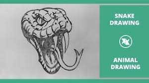 We did not find results for: How To Draw A Realistic Snake Snake Drawing 3d Time Lapse Youtube