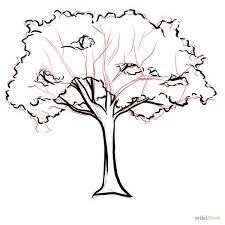 Left this also in real time so it woul. Easy Ghaf Tree Drawing Novocom Top