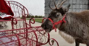 Good Day Kansas Explores Fulton Valley Farms