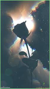Full hd black rose wallpaper. Wallpaper Backgrounds Aesthetic Moonlight Clouds Black Rose Full Moon Dark Wallpaper Wall Black Roses Wallpaper Dark Wallpaper Rose Wallpaper