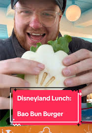 Exploring Delicious Foods at Disneyland Tokyo
