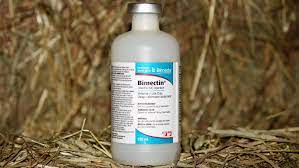Ivermectin Toxicity Treatment Self Medicating Covid 19 Danger