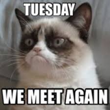 Don't forget to confirm subscription in your email. 160 Tuesday Quotes And Memes Ideas Tuesday Quotes Tuesday Happy Tuesday Quotes